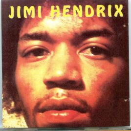 JIMI HENDRIX - The Lost Experience ( Bear in the Air )( 1 CD )  ( Rare unreleased material ) front cover