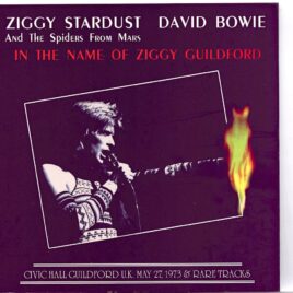 DAVID  BOWIE - In the Name of Ziggy Guildford ( 2 CD SET )( HELDEN )  ( Civic Hall Guildford UK, May 27th, 1973 & Rare Tracks ) front cover
