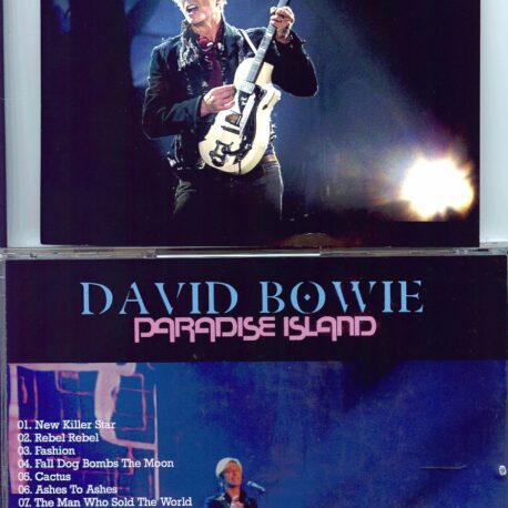 paradiseisland-1.jpg