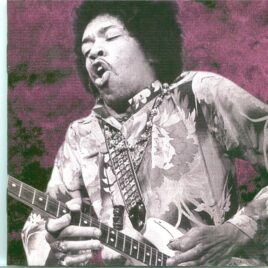 JIMI  HENDRIX - Swedish Adventure ( 1 CD ) ( Live at The Stora Scenen Grona Lund, Tivoli Garden, Stockholm, Sweden, September 4th, 1967 ) front cover