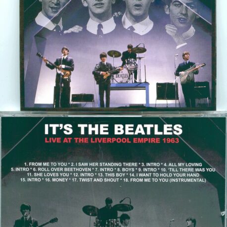 itsthebeatlesharphaphone-1.jpg