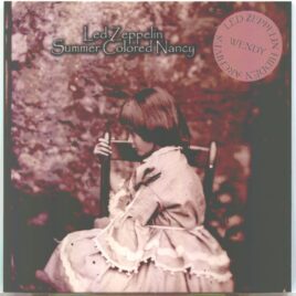 Led Zeppelin - Summer Colored Nancy ( 2 CD SET ) ( Wendy ) (Parc Des Expositions Nancy, France - Mar 27, 1973 & St. George's Hall, Bradford, UK - Jan 18, 1973 ) front cover
