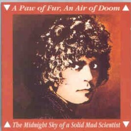 T-REX - A Paw of Fur , An Air of Doom ( Outtakes & Obscure Recordings ) front cover