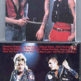 Stray Cats – Jump And Groove ( Montreaux , Switzerland 1991 )
