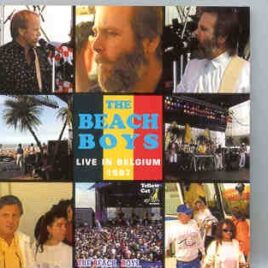 The Beach Boys - Live In Belgium 1987  ( Yellow Cat Recs ) front cover