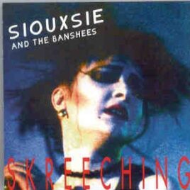 Siouxsie & The Banshees - Skreeching ( St Davis Hall , Cardiff , Wales , June 21st , 1984 ) front cover
