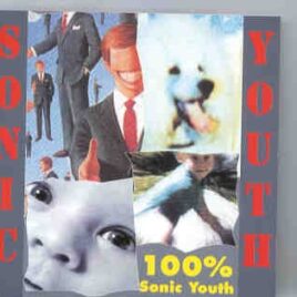 Sonic Youth - 100 % Sonic Youth  ( Living Legend ) front cover