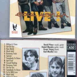 Soul Asylum – Live ! ( Pluto – Great Dane ) ( 1992 US Tour )