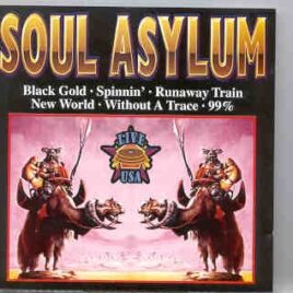 Soul Asylum - Live USA front cover