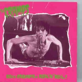 The Cramps - Sex , Cramps And Rock 'N' Roll ( 2 CD set )( Swingin' Pig ) ( Zurich , April 21st , 1986 ) front cover