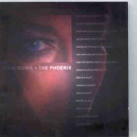 David Bowie - The Phoenix ( Phoenix Festival '96 England , And Bonus French TV Tracks ) front cover