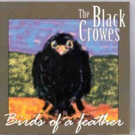 Black Crowes – Birds Of A Feather ( 1st Avenue Club , Minneapolis , MN , USA , December 5th , 1994 ) front cover