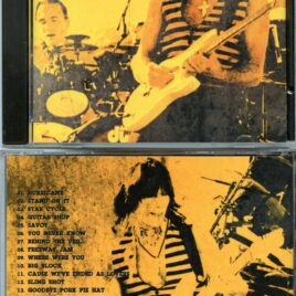 JEFF BECK – Riverbend Hurricane ( Live at Riverbend Music center, Cincinnatti, Ohio, USA, August 22nd, 1995 )