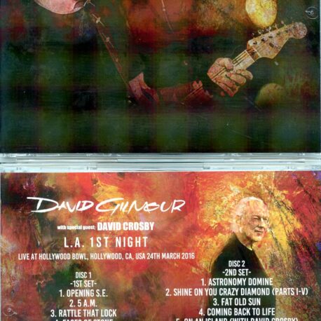 davidgilmourla1stnight.jpg