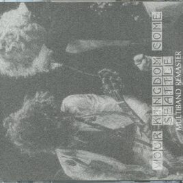 LED ZEPPELIN - Your Kingdome Come Seattle Multiband Remasters ( 3 CD SET ) ( WENDY ) ( Kingdome Seattle, WA, USA, July 17th, 1977 ) front cover