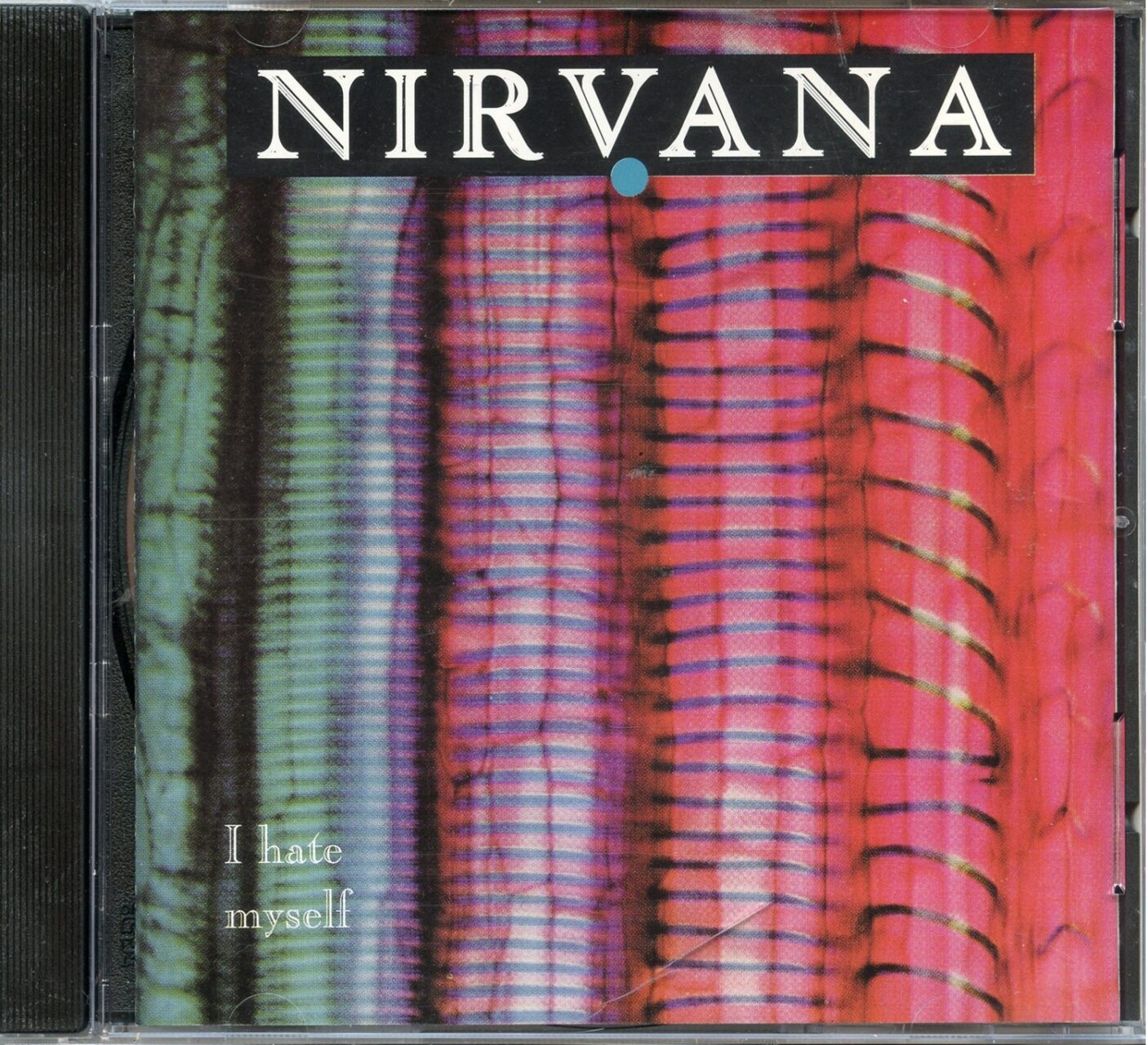 Nirvana - Pain I Hate Myself ( Compilation of 18 Rare Tracks ) front cover