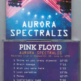 Pink Floyd – Aurora Spectralis  ( June 30th 1990 , Knebworth , London , UK  )