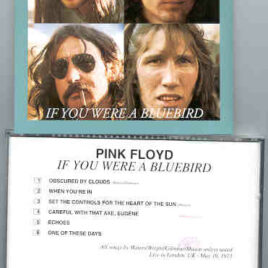 Pink Floyd – If You Were A Bluebird  ( Oil Well ) ( Earls Court , London , UK , May 19th , 1973 )