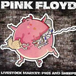 Pink Floyd – Livestock Market Pigs And Sheeps ( 2 cd set ) ( Godfathers ) ( New Bingley Hall , Stafford , UK , March 30th , 1977 )