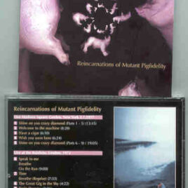 Pink Floyd – Reincarnations Of Mutant Pigfidelity ( MSG, New York, USA, June 2nd 1977 + Rainbow 72 )